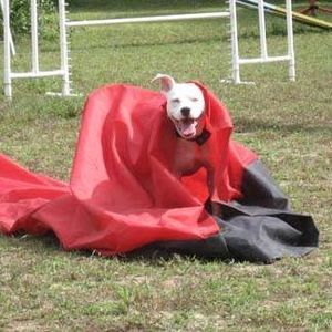 Meet your Posher, Kathy